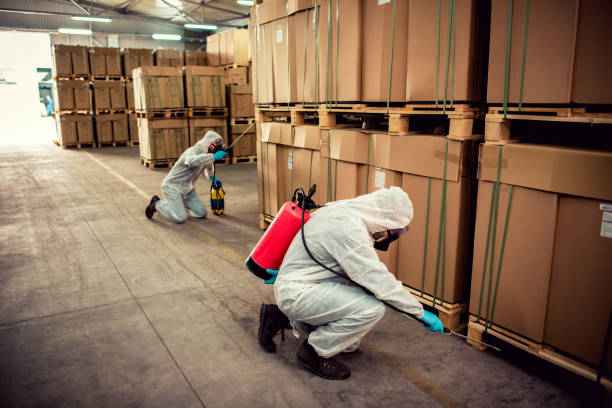 Best Rat Extermination Near Me  in Totowa, NJ