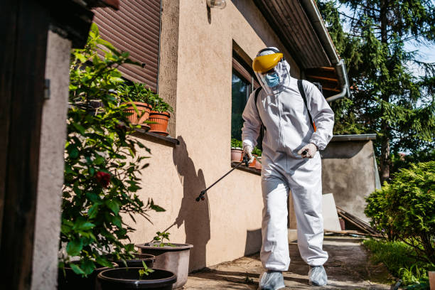Best Wasp Removal Services  in Totowa, NJ