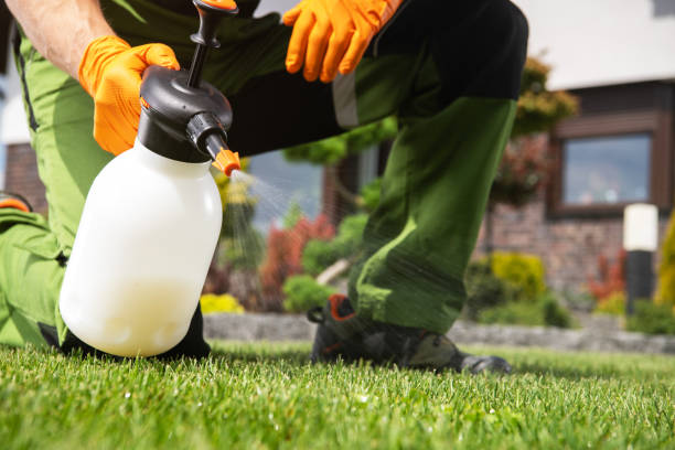 Insect Control in Totowa, NJ