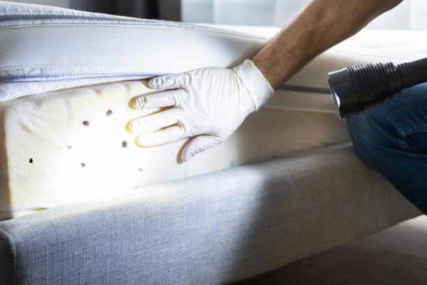Best Bed Bug Extermination  in Totowa, NJ