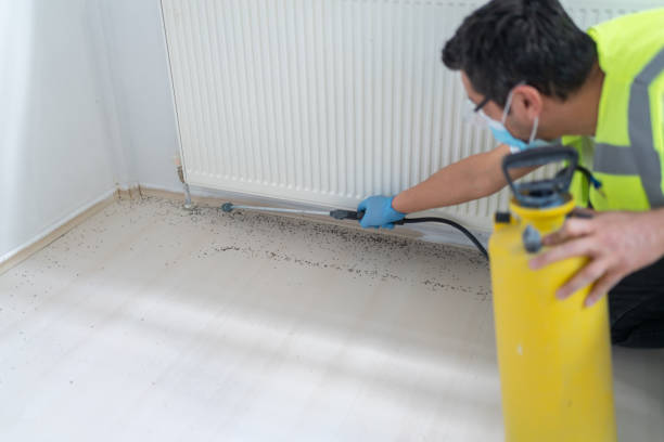 Best Residential Pest Control  in Totowa, NJ