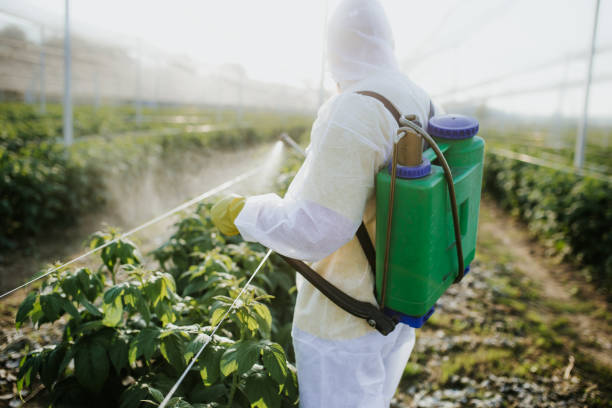 Best Mosquito Control Services  in Totowa, NJ